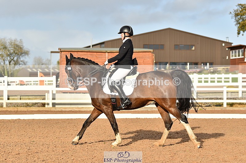 231104A-140114-01993 - Cls 10 Medium 61