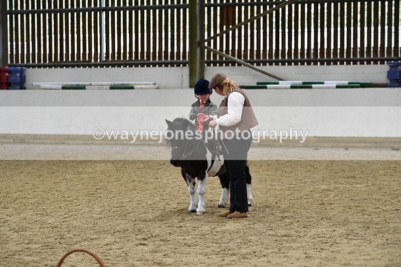 WJ5_7102 - Class 10 Childs Pony