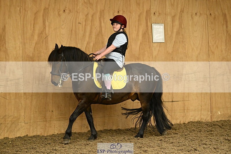 240728B-142055-00515 - Theo and Gemma's Groups Indoor