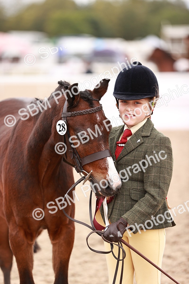 SBM_18633 - Class 421 - Childs Best Friend - Jnr