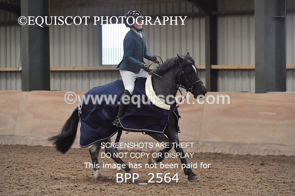BPP_2564 - CLASS 16 Pony BritiNovice / 0.80m Open