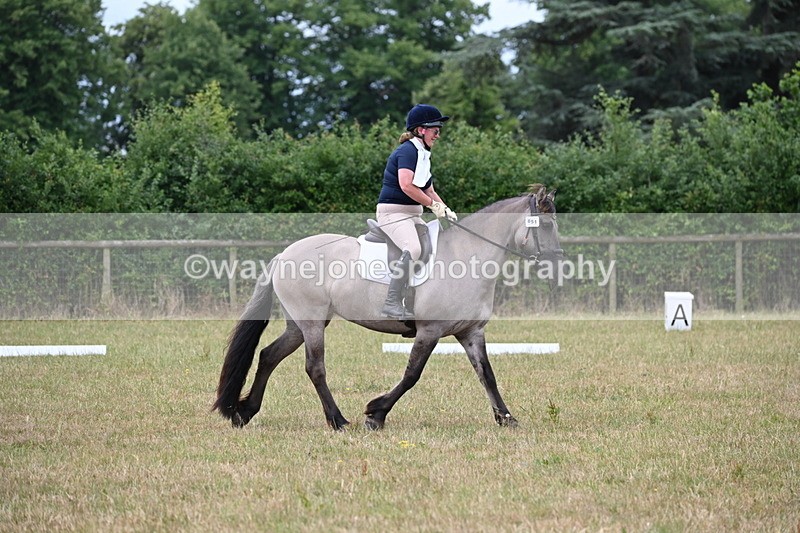 WJ6_1395 - Time 10:28 to 10:40