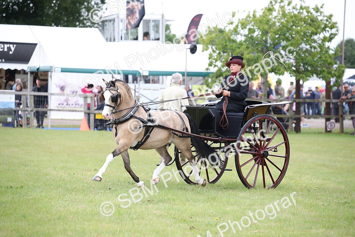 SBM_05833 - Class 12-15 - HOYS Private Driving