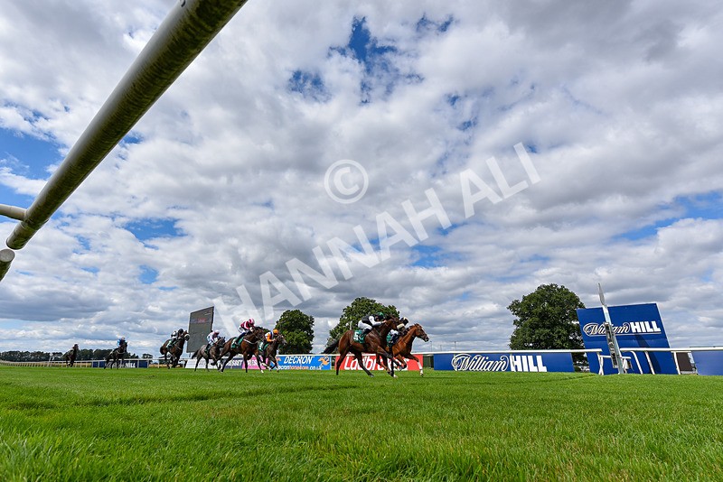 020825-Race 1-Rikki Tiki Tavi-8053 - Race 1