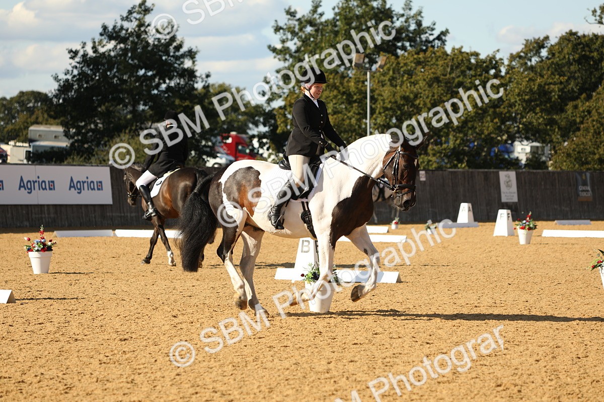 SBM_26837 - D17 - Grand Tour Championship - Novice 27