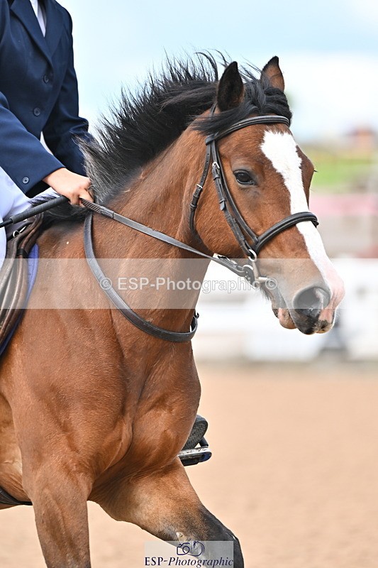 240723A-170100-00324 - 70cm