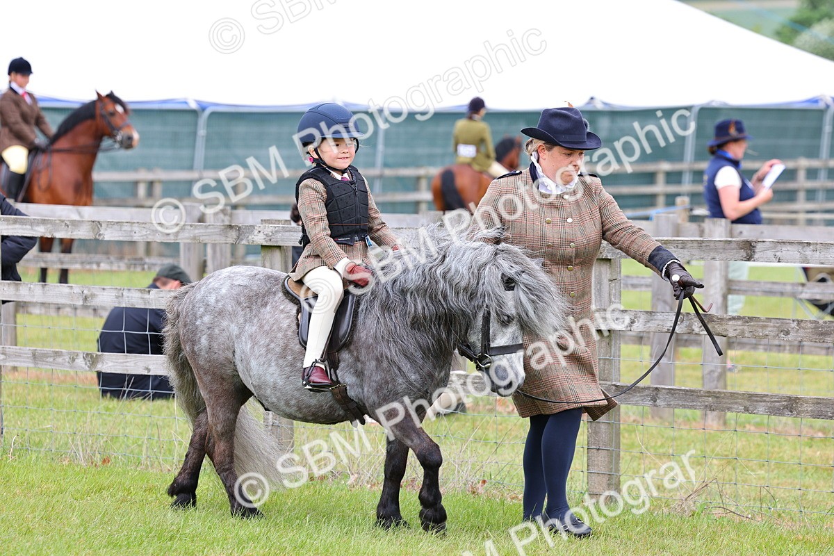SBM_08080 - Class 42-43 - LIHS BSPS Heritage Working Sports Pony