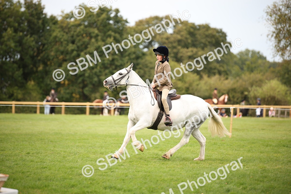 SBM_72369 - S67 - Show Cob Ridden