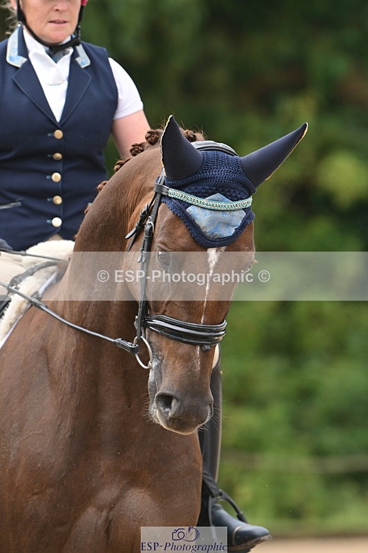 250719A-093723-02980 - 144-Verity.Perry-Vogue