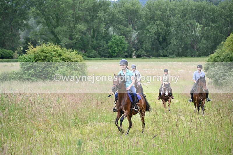 WJ6_8437 - Camera 1 Gallops