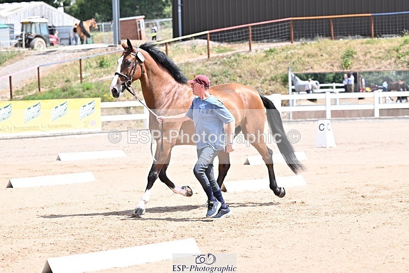 250716-124705-00165 - Trot Up 12.30 to 1.30