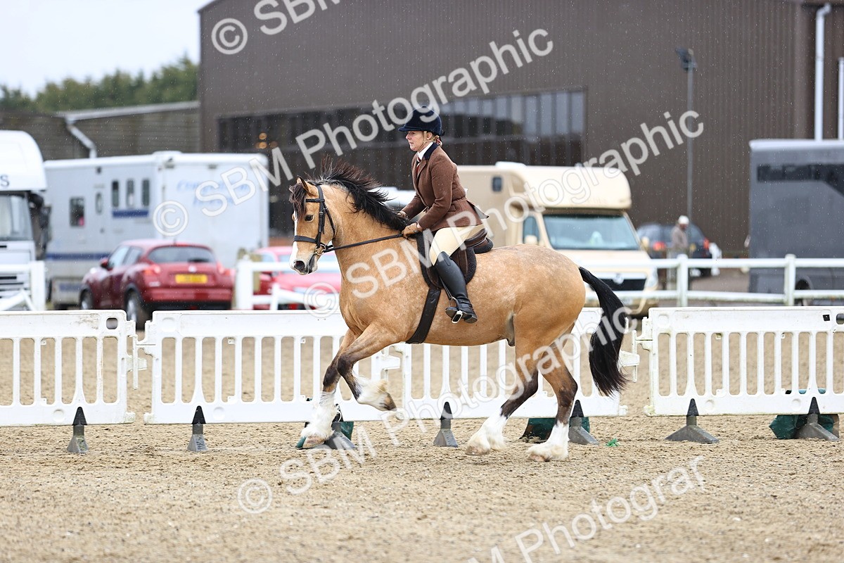 SBM_007536 - Class 31-32 - M&M Confined Novice Small-Large