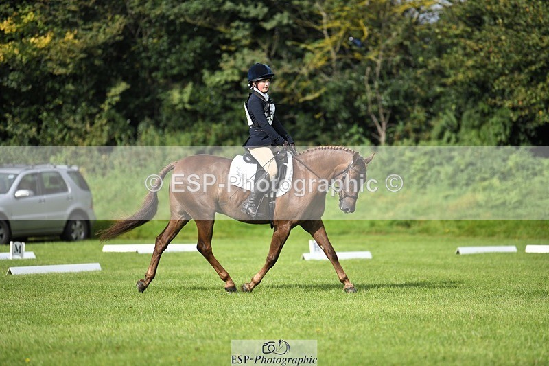 230826-094327-15209 - Sections C & D 9 to 10am