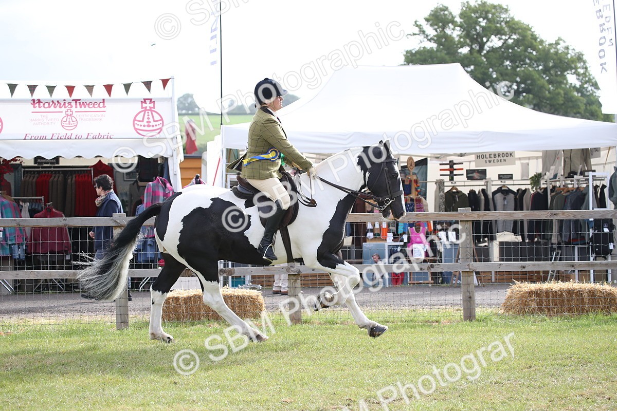SBM_11181 - Class 92-93 - LIHS BSHA Rising Star Cobs