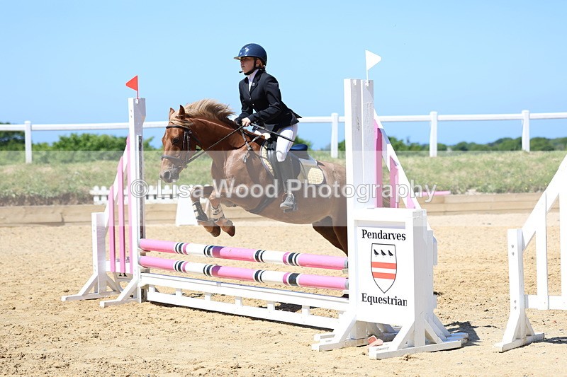 3E7A2499 - Class 4/5: 60cm Open Teams and Individuals