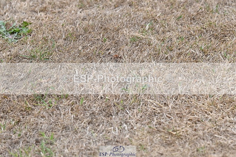 250820A-180348-12476 - Wednesday Presentations