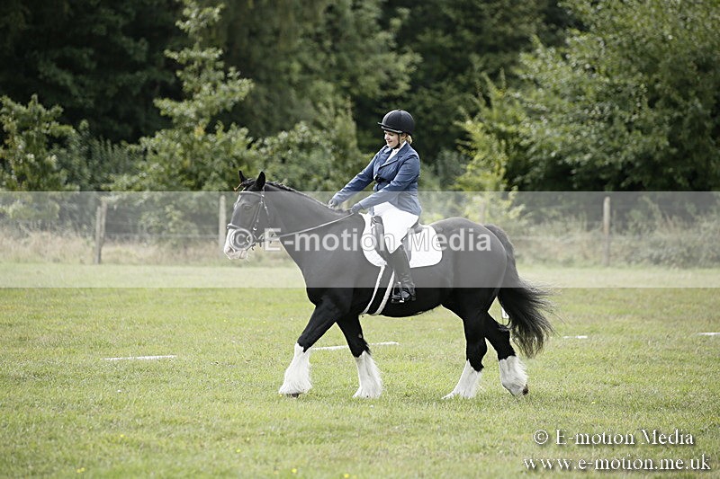 BVR080918 152 - BVRC Novice Dressage & CR 08/09/18