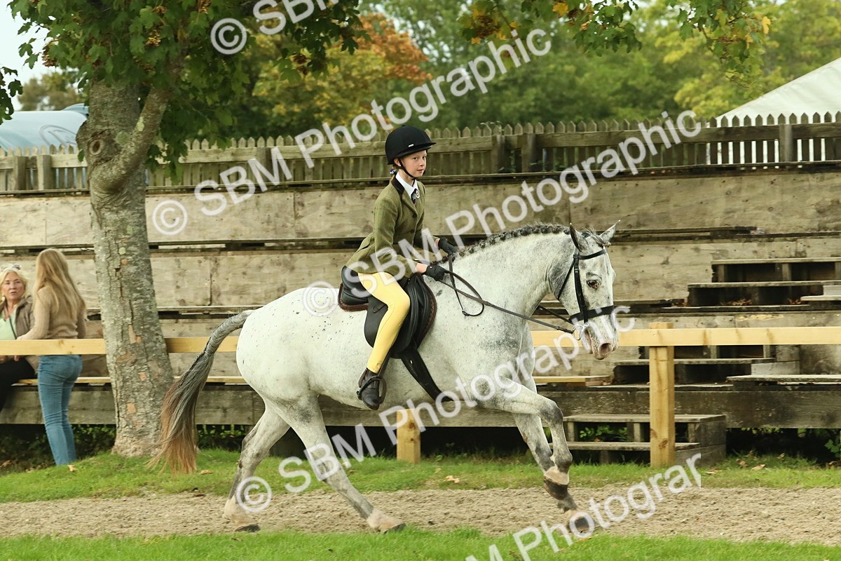 SBM_74070 - S 61 - Show Pony & Show Hunter Pony Ridden