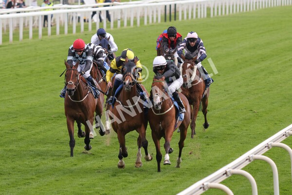 yr10062022r7-15 - Race 7 5.10pm Andy Thornton Hospitality Furniture Stakes