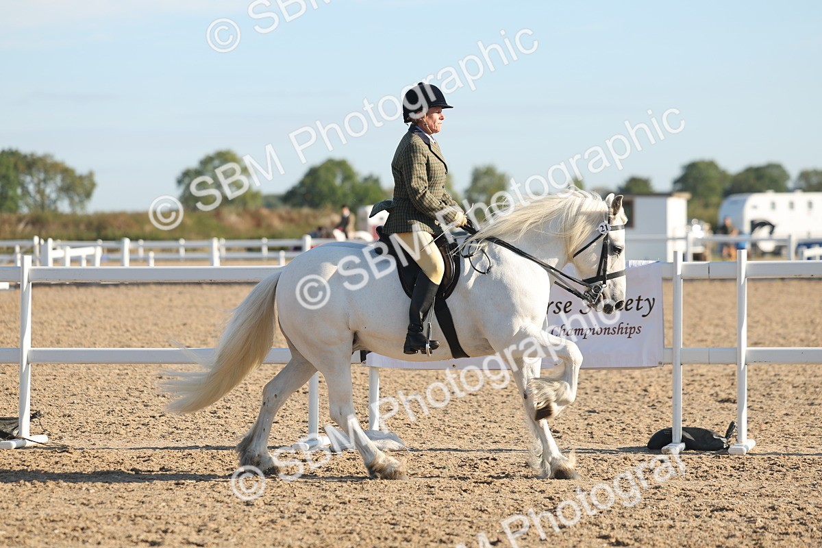 SBM_10994 - Class 302 - Ridden M&M Large Breeds
