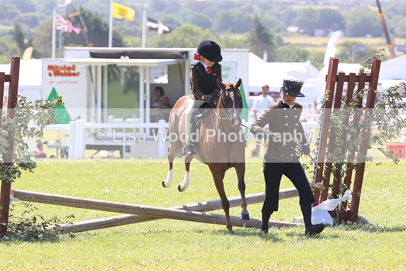 JPP_2189 - Class 20: Tiny Tots Working Hunter Pony