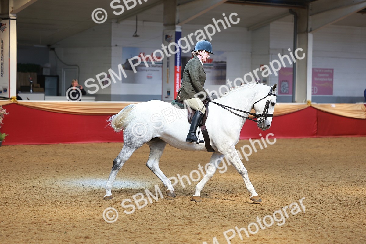 SBM_10615 - Class 103 - HOYS Veteran Qualifier - Ridden Pre Vet