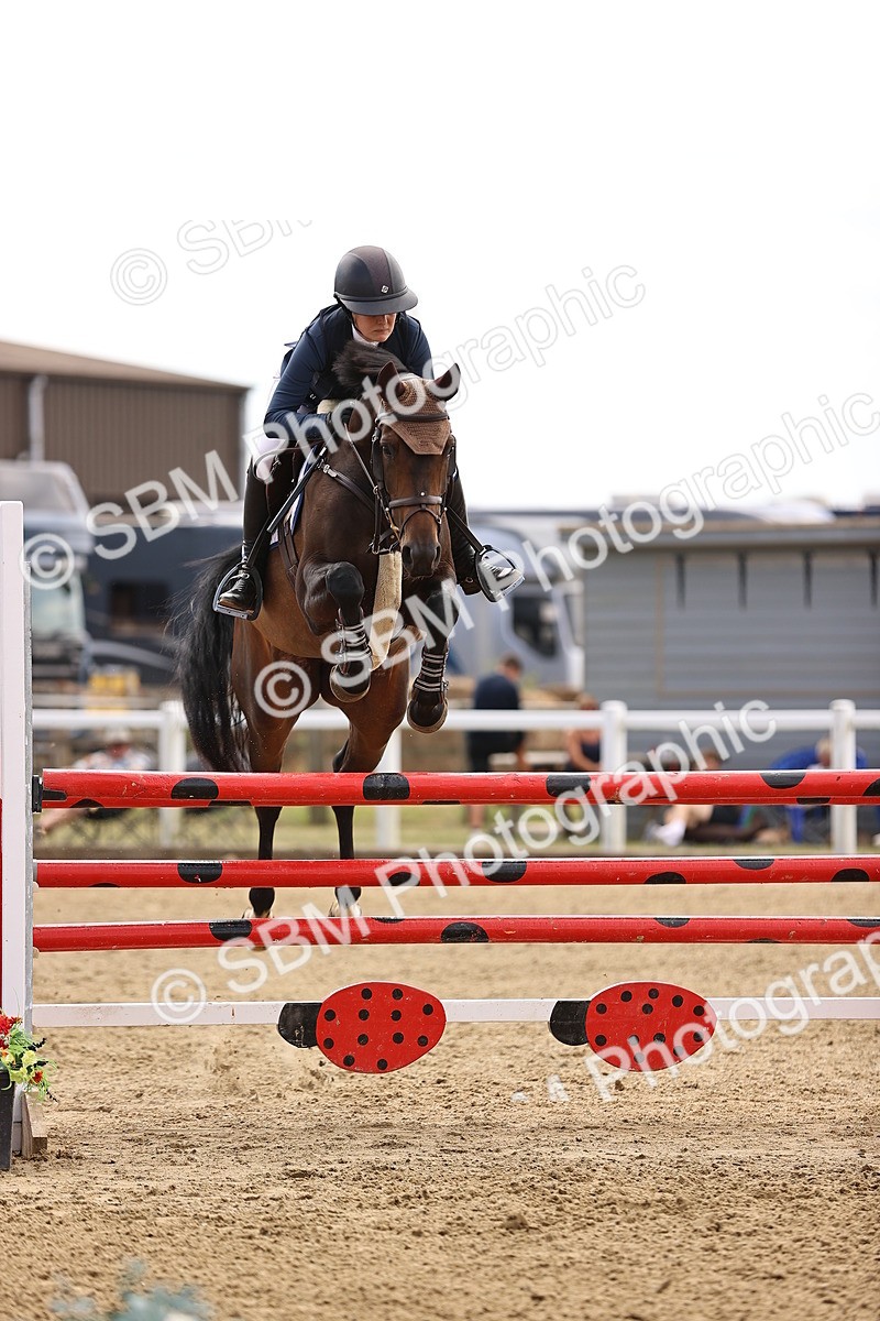 SBM_010438 - Class 9 - Senior Foxhunter - 1.20m Open