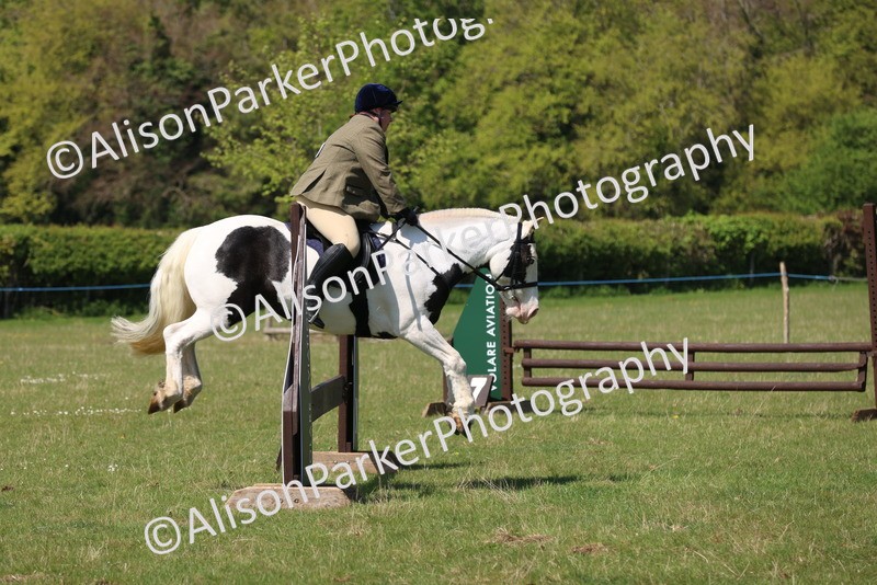 20250427-2575 - Class 20 - Working Hunter Ponies