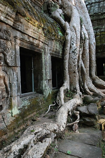  - Cambodia