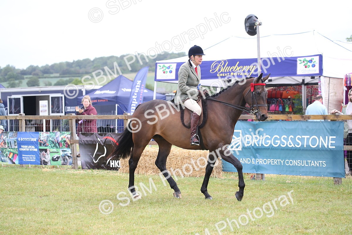 SBM_11479 - Class 94 - LIHS BSHA Racehorse to Showhorse