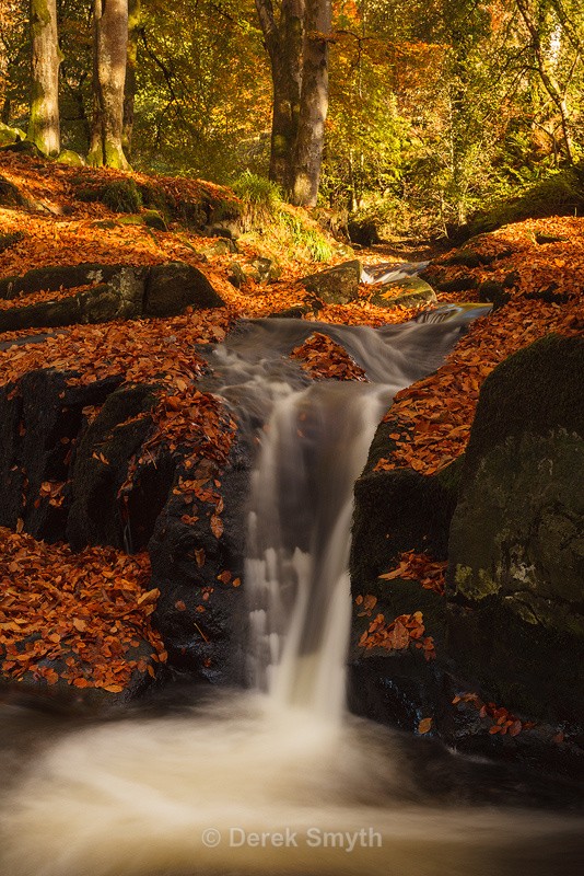 Autumn Fall On The Cloughleagh River