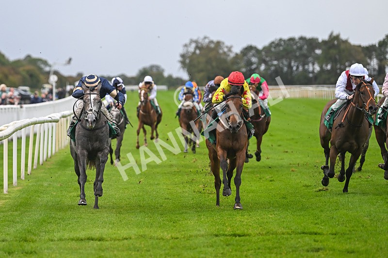 150925-Race 2-Rum Therapy-2388 - Race 2