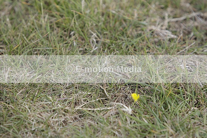 BVHT 140517 I-634 - Class 1 SJ Intermediate 14/05/17