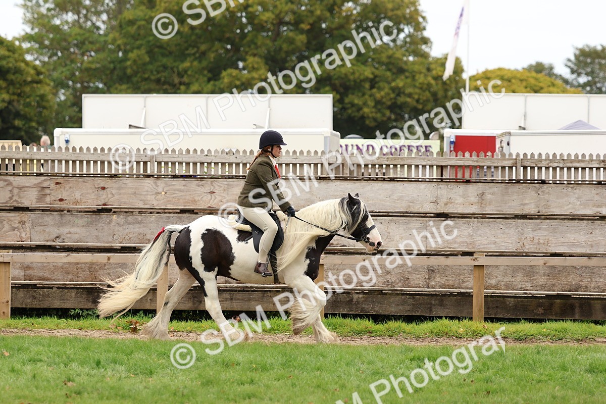 SBM_64638 - S58 - Coloured Pony Ridden
