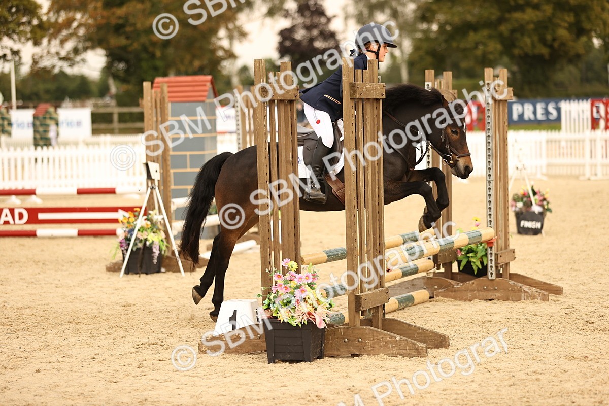 SBM_74342 - J14 - Junior Pony 65cm Championship