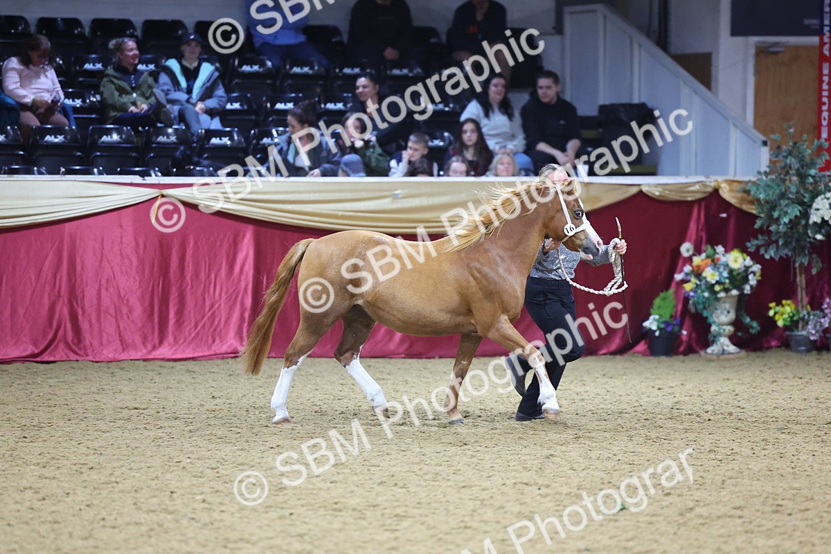 SBM_18935 - Class F Grass Roots Champ
