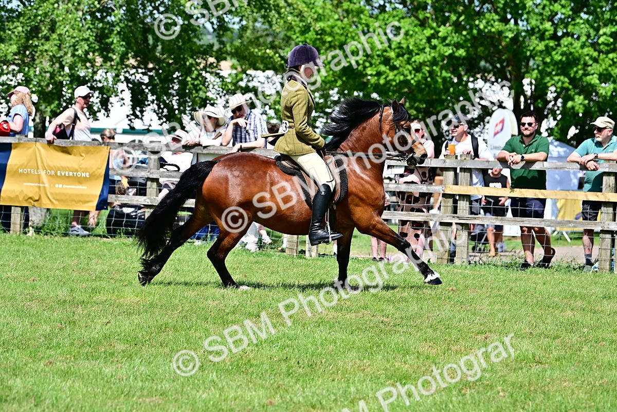 SBM_07902 - Class 61-62 - TSR  M&M Ridden Amateur of the Year