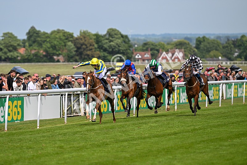 240525-Race 4-My Harrison George-1191 - Race 4