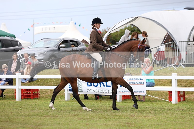 3E7A0916 - Class 8: Open Riding Horse/Hack