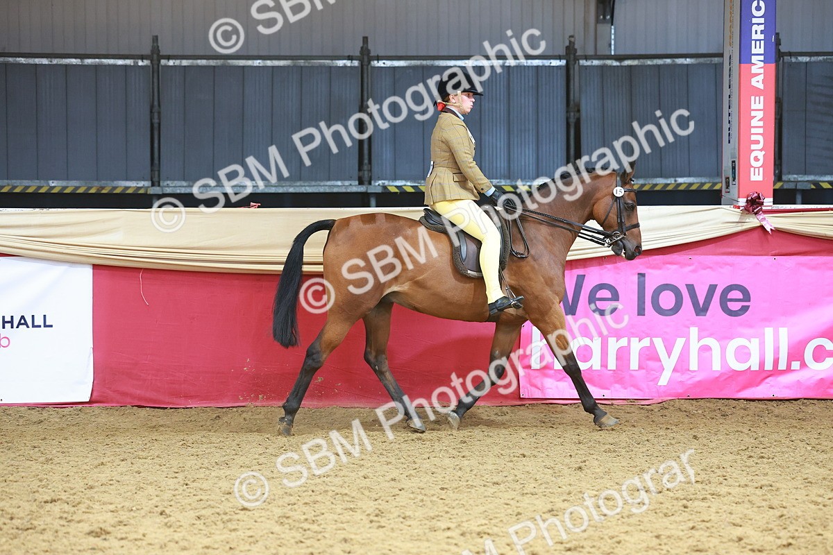 SBM_12435 - Class 103 - HOYS Veteran Qualifier - Ridden Pre Vet