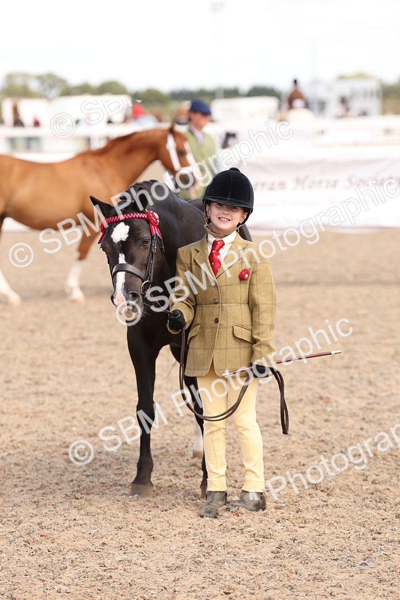 SBM_15067 - Class 209 - IH Veteran Pony