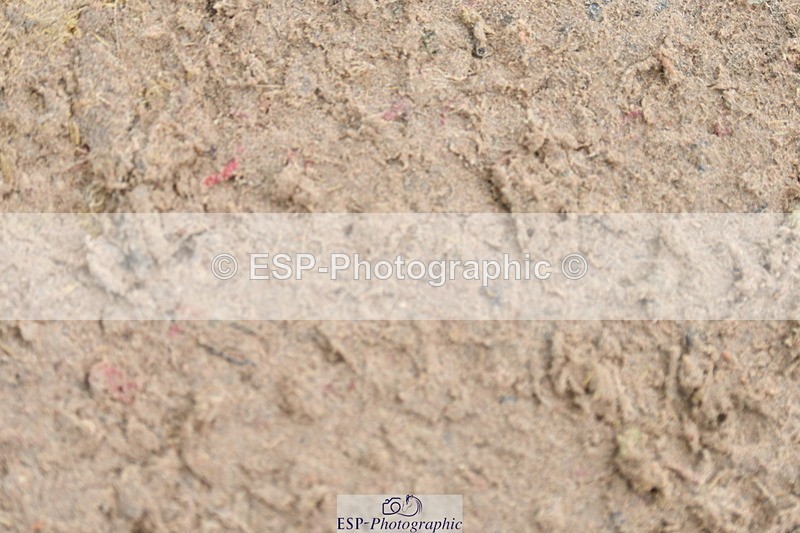 230511A-131540-00727 - BD Cls 6 Music Novice