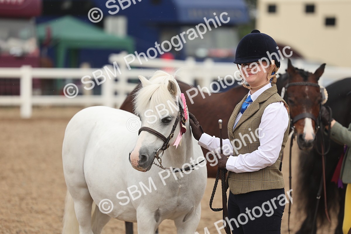 SBM_00630 - Class 13 Young Handler