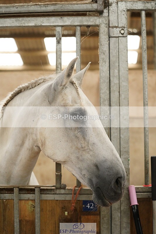 240809A-134510-00999 - Stable Shots