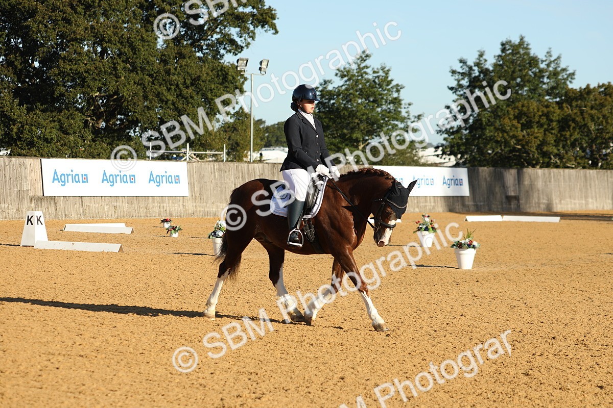 SBM_14203 - D10 - Small Tour Championship - Prelim 2
