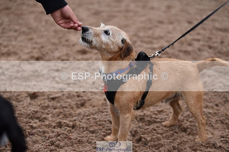 240518A-130240-01253 - Cls 6 Best Veteran