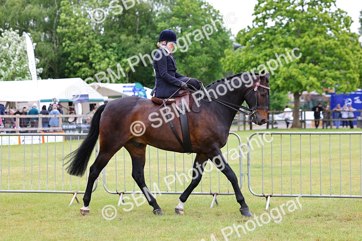 SBM_02810 - Class 9-11 Side Saddle including LIHS Rising Star Ladies Show Horse