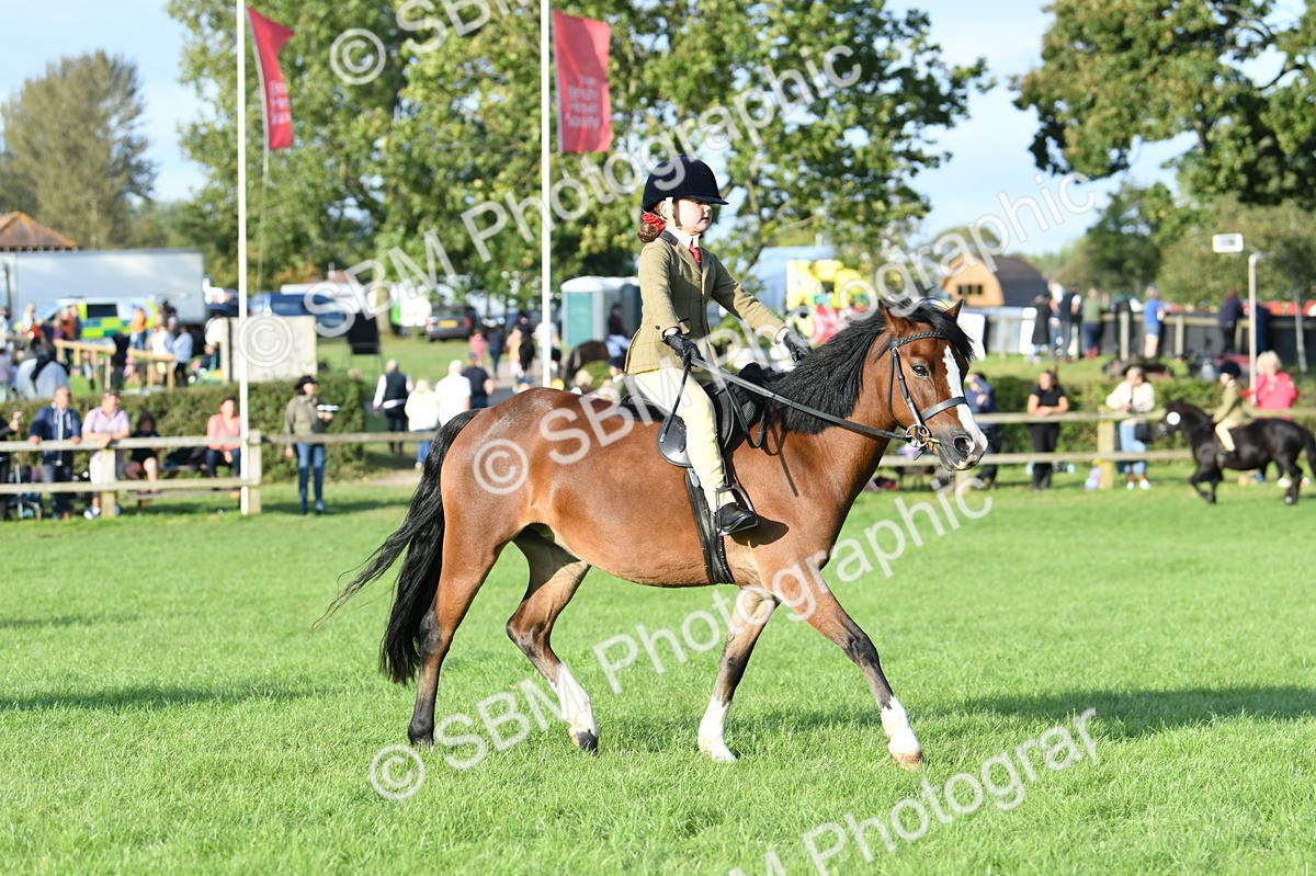 SBM_54030 - S23 - 1st Ridden Mountain & Moorland Pony