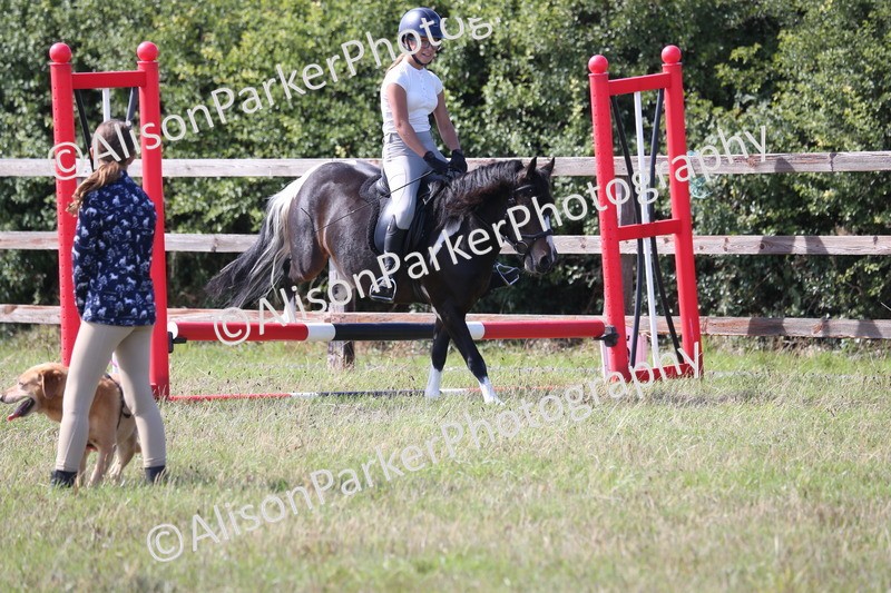 20260906-1610 - Class 10 - Horse & Hound