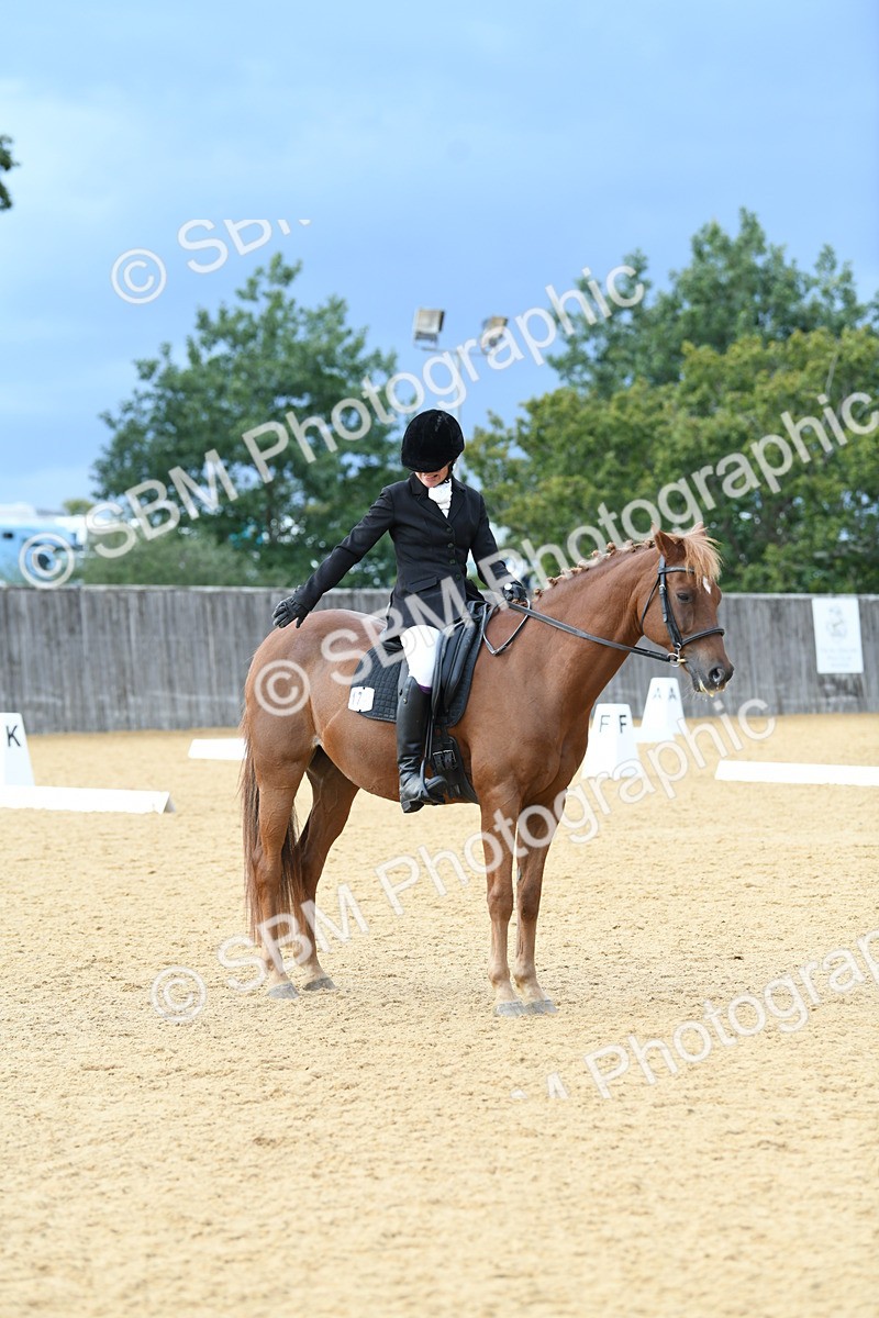 SBM_10943 - D28 Elementary Taster Elementary 42